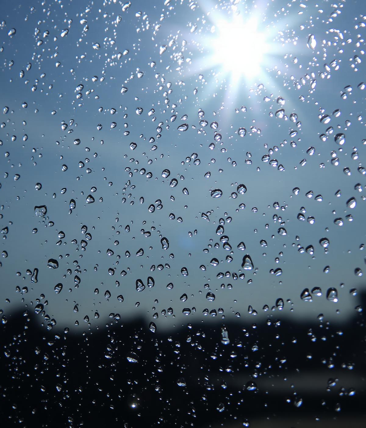 Window Cleaning